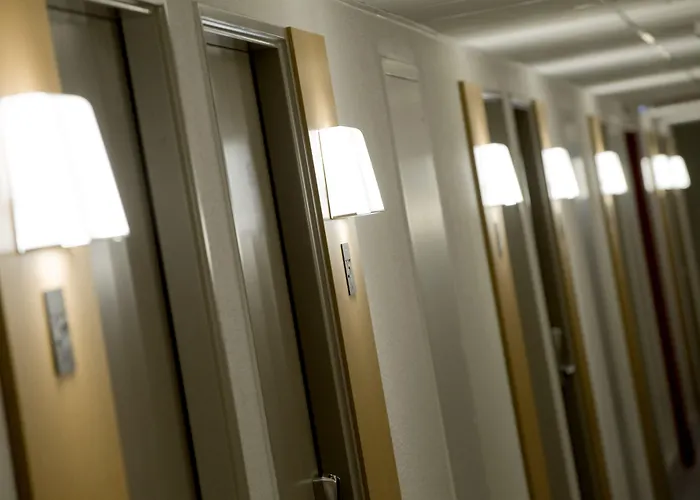 Marais Poitevin Niort